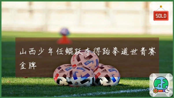 山西少年任鲲跃夺得跆拳道世青赛金牌
