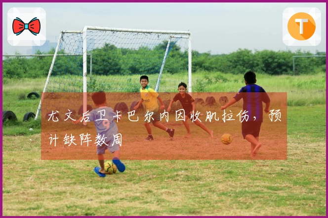 尤文后卫卡巴尔内因收肌拉伤，预计缺阵数周
