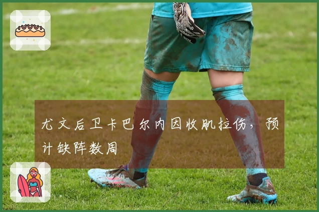 尤文后卫卡巴尔内因收肌拉伤，预计缺阵数周