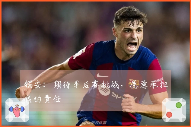 锡安：期待季后赛挑战，愿意承担我的责任